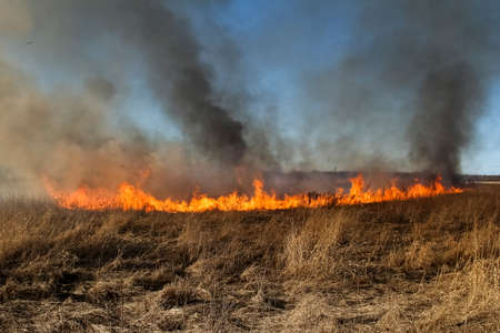Spring fires of dry grass.の写真素材