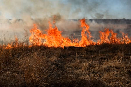 Spring fires of dry grass. Natural disaster.