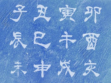 Chinese zodiac characters on a blue grunge wall         の写真素材