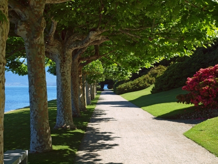 Tranquil path in garden along the shore of lake como, Bellagio Italyの写真素材