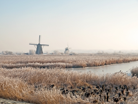 Winter landscape with windmills in Kinderdijk, Netherlands の写真素材