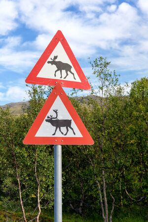 Warning sign of elk (moose / deer) and reindeer on street in Norway with forest in backgroundの写真素材
