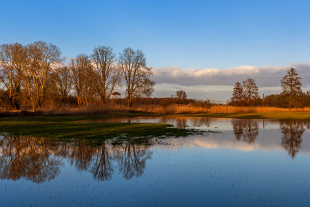 Autumnal mood: Silent lake with trees in the eveningの写真素材