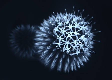 Abstract blue plant flower artworkの写真素材