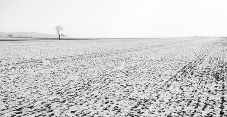 Landscape view with an agriculture field in winterの写真素材