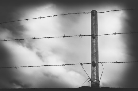 Barbwire in front of a cloudy skyの写真素材