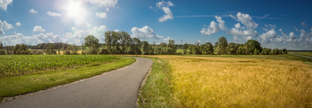 View to an agriculture field in the summer