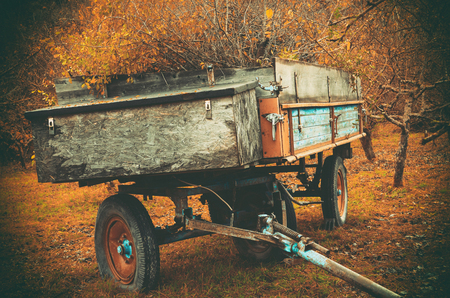 Full harvest trailer standing on the field in autumnの写真素材