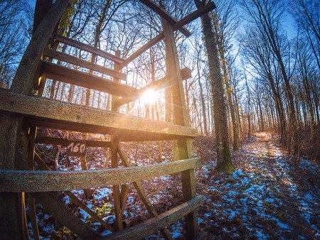 Beautiful sunrise behind a high seat in the forestの写真素材