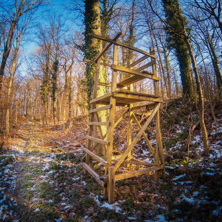 Wooden old high seat in the forestの写真素材