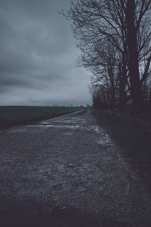 Dark landscape view with bare treesの写真素材