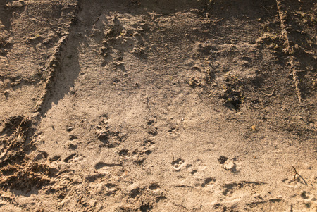 Heap of sand closeupの写真素材