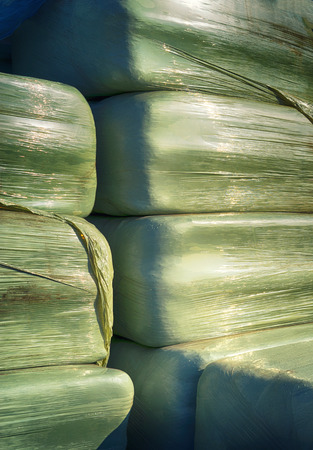 Stacked green hay balls closeupの写真素材