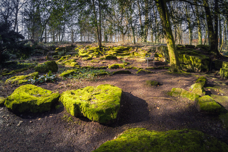 Beautiful nature and park scene in springの写真素材