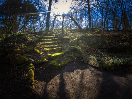 Beautiful nature and park scene in springの写真素材