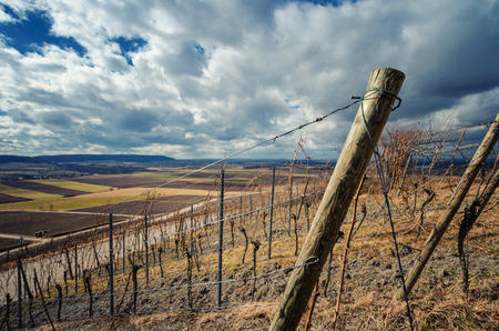 Rural landscape view from the vineyard in springtimeの写真素材