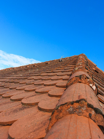 Roof tiles closeupの写真素材