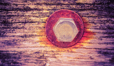 Rusty screw in a wooden plankの写真素材