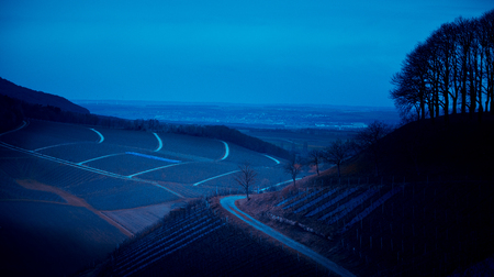 Vineyard landscape by nightの写真素材