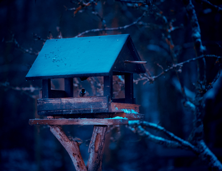 Outdoor bird house in winterの写真素材