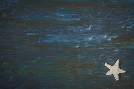 Sea background. Sea shells on the wooden deskの写真素材