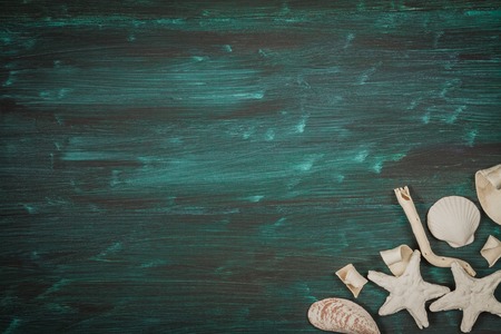 Sea background. Sea shells on the wooden desk.の写真素材