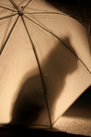 The shadow of a cat on an umbrellaの写真素材