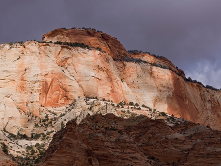 Rock formations in a national park, Zion National Park, Utah, USAのeditorial素材