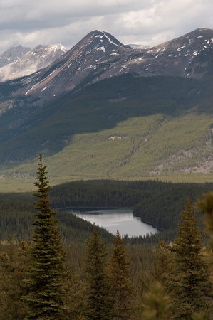 Bald hills trail, Jasper National Park, Alberta, Canadaのeditorial素材