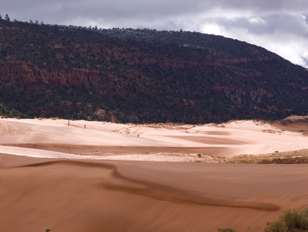 Sand dunes in a desert, Coral Pink Sand Dunes State Park, Utah, USAの写真素材