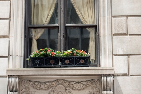 Window box on a window, Chicago, Cook County, Illinois, USAの写真素材