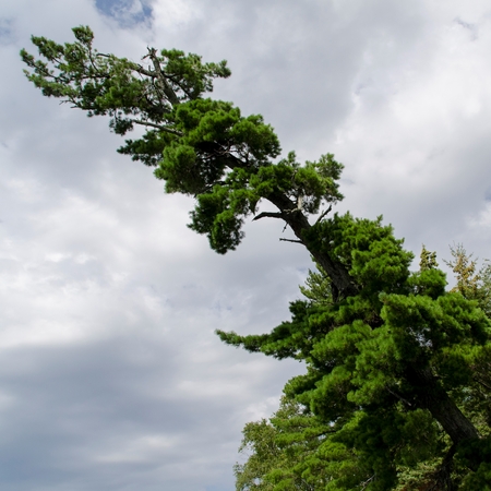 Lake of the Woods, Ontario, Canadaの写真素材