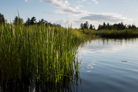 Lake of the Woods, Ontario, Canadaの写真素材