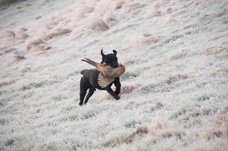 In the Countrysideの写真素材