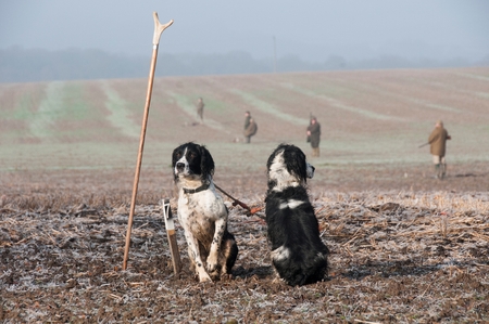 In the Countrysideの写真素材