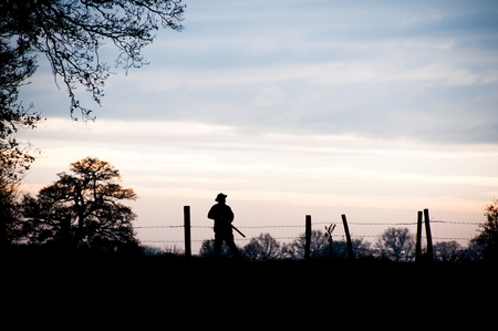 In the Countrysideの写真素材