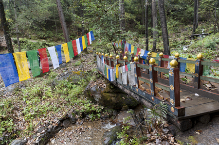 Prayer flags with a footbridge at Taktsang Monastery, Paro Valley, Paro District, Bhutanの写真素材