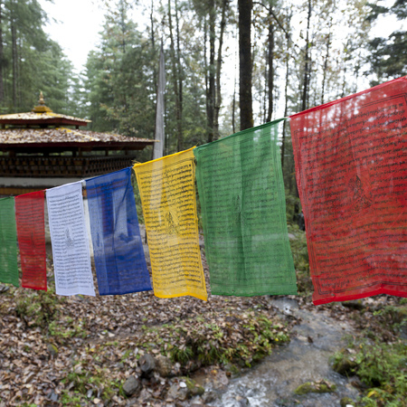 Prayer flags at Taktsang Monastery, Paro Valley, Paro District, Bhutanの写真素材