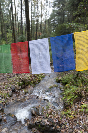 Prayer flags with a stream at Taktsang Monastery, Paro Valley, Paro District, Bhutan