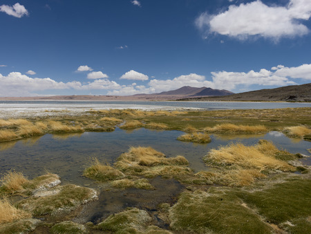 View of the Tara Salt Flat, Salar de Atacama, San Pedro de Atacama, El Loa Province, Antofagasta Region, Chileの写真素材