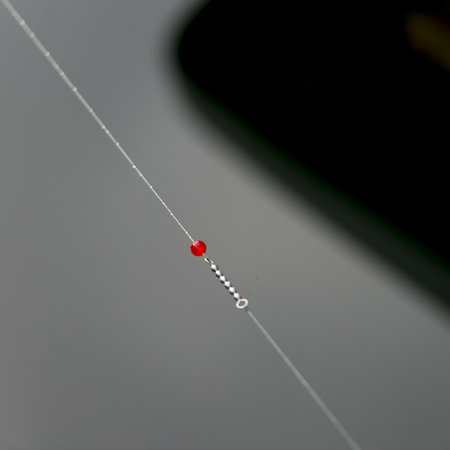 View of fishing line, Skeena-Queen Charlotte Regional District, Haida Gwaii, Graham Island, British Columbia, Canadaの写真素材