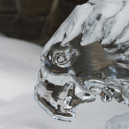 Close-up of hawk ice sculpture, Lake Louise, Alberta, Canadaの写真素材