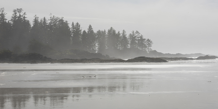 View of shoreline, Pacific Rim National Park Reserve, Tofino, Vancouver Island, British Columbia, Canadaの写真素材