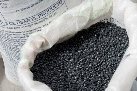 Black beans in a sacj, Arcos de San Miguel, San Miguel de Allende, Guanajuato, Mexicoの写真素材