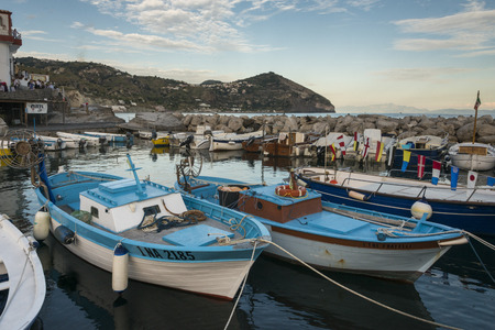 Fishing boats moored at harbor, Sant'Angelo, Ischia Island, Campania, Italy