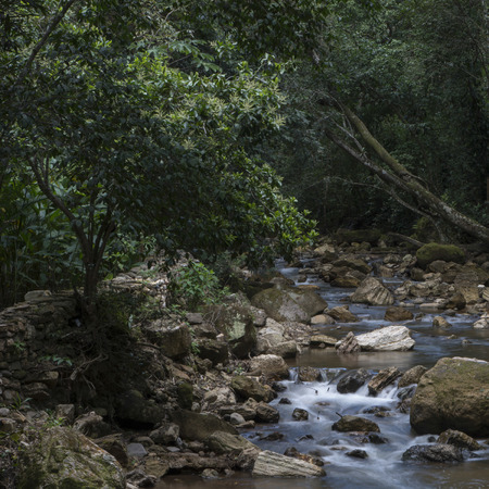 Stream flowing through rocks, Macaw Mountain Bird Park, Copan, Copan Ruinas, Copan Department,...