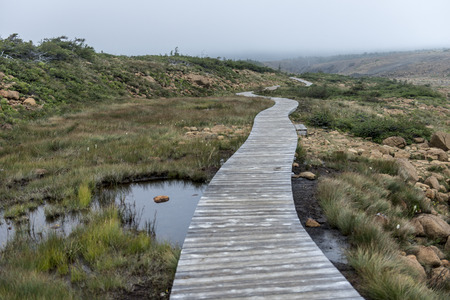 Boardwalk at Division No. 9, Subd. A, Gros Morne National Park, Newfoundland And Labrador, Canadaの写真素材