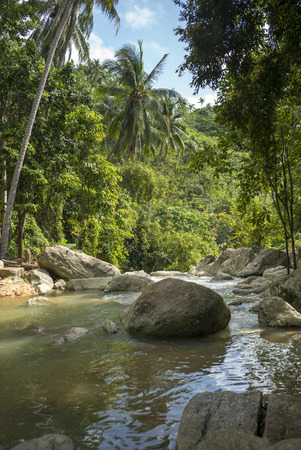 Stream flowing through forest, Koh Samui, Surat Thani Province, Thailandの写真素材