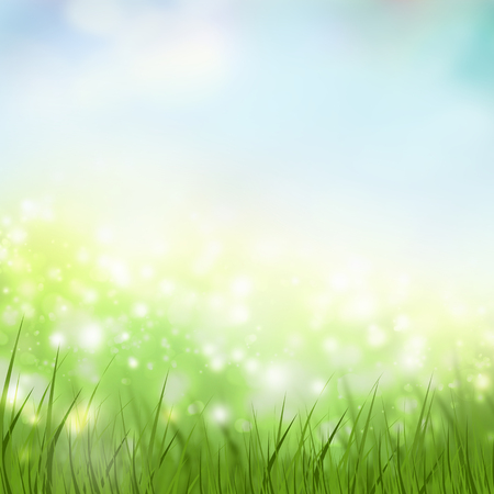 Natural spring and summer background with selective focus and grass on foregroundの写真素材