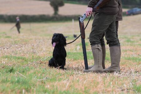 On the peg with his cocker spanielの写真素材